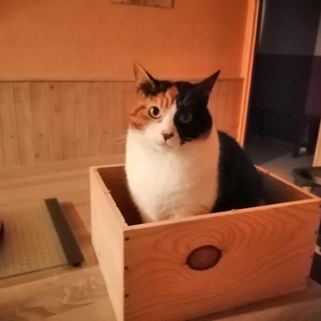 Grande Chambre D'Hote Proche Disneyland Et Parc Des Felins Guérard المظهر الخارجي الصورة