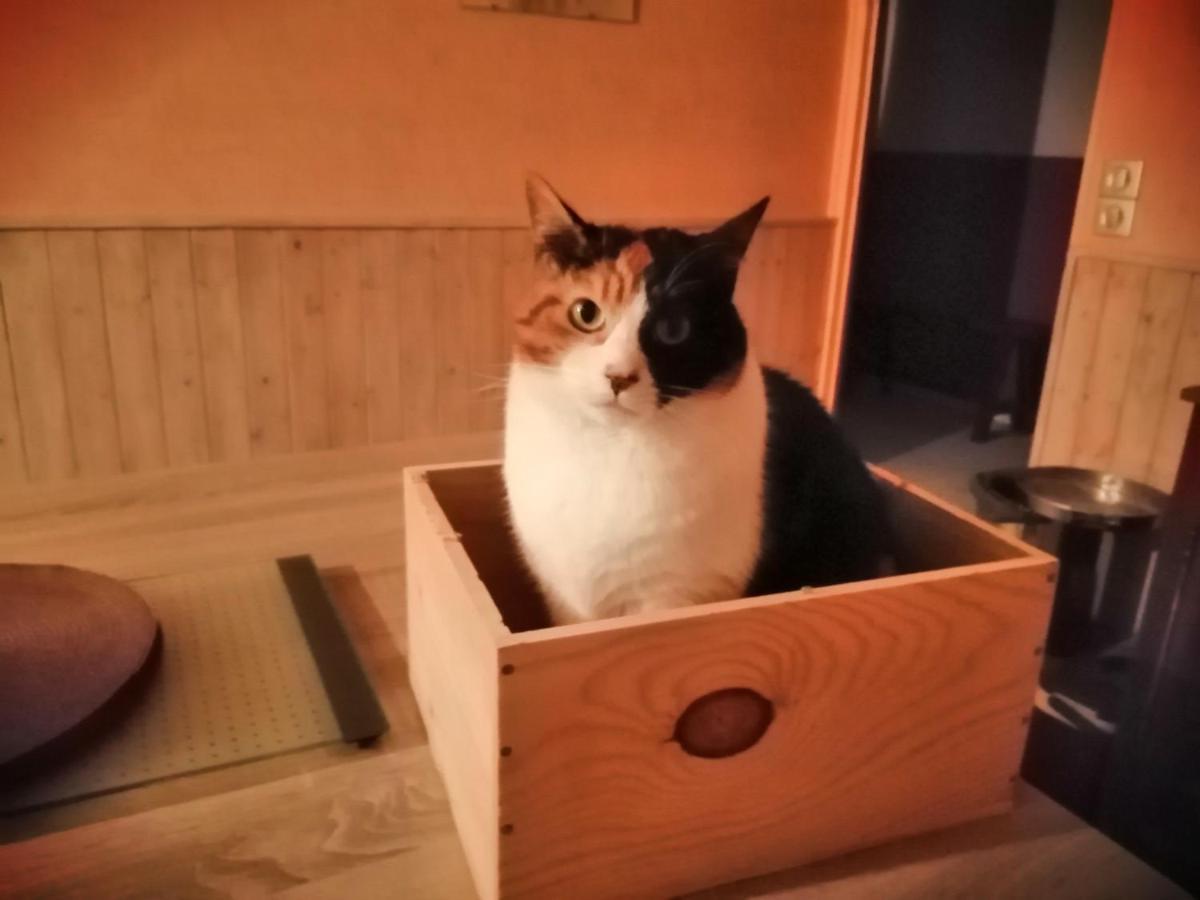 Grande Chambre D'Hote Proche Disneyland Et Parc Des Felins Guérard المظهر الخارجي الصورة